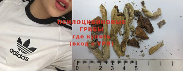 амф Алексин