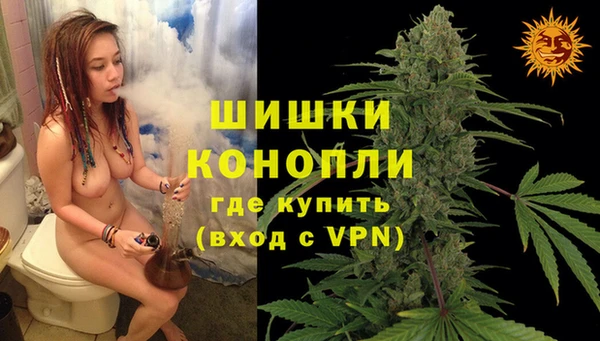 трава Алзамай