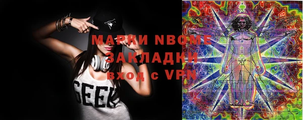 амф Алексин