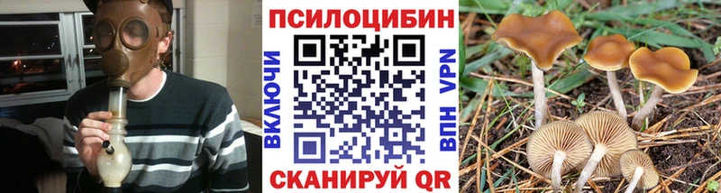Галлюциногенные грибы мицелий  Амурск 